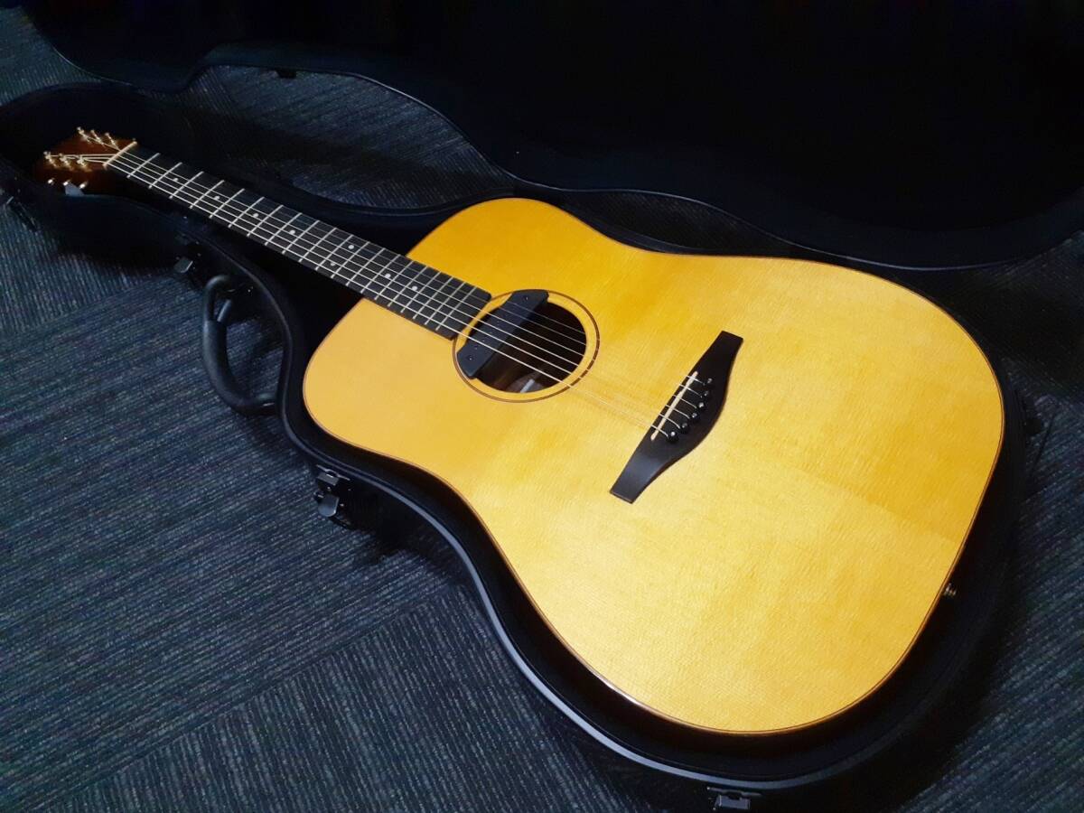 美品 AVALON Guitars PU搭載 エレアコ グラスファイバーケース付 美品 AVALON Guitars PU搭載 エレアコ仕様 グラスファイバー