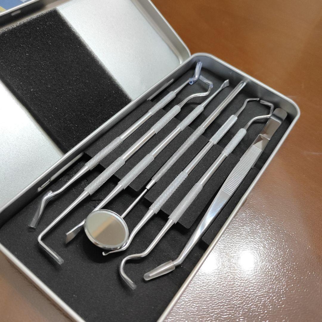 歯石取り器具セット 7本入り専用ケース スケーラー5種＆ミラー