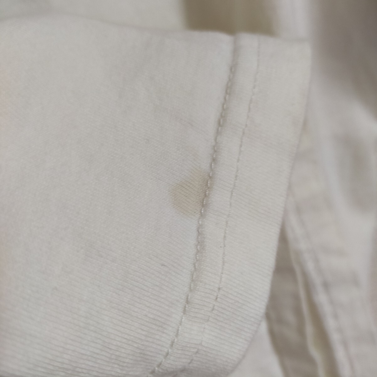 schott ショット 782-3134030 半袖Tシャツ プリント ブルドッグ L オフホワイト(白)