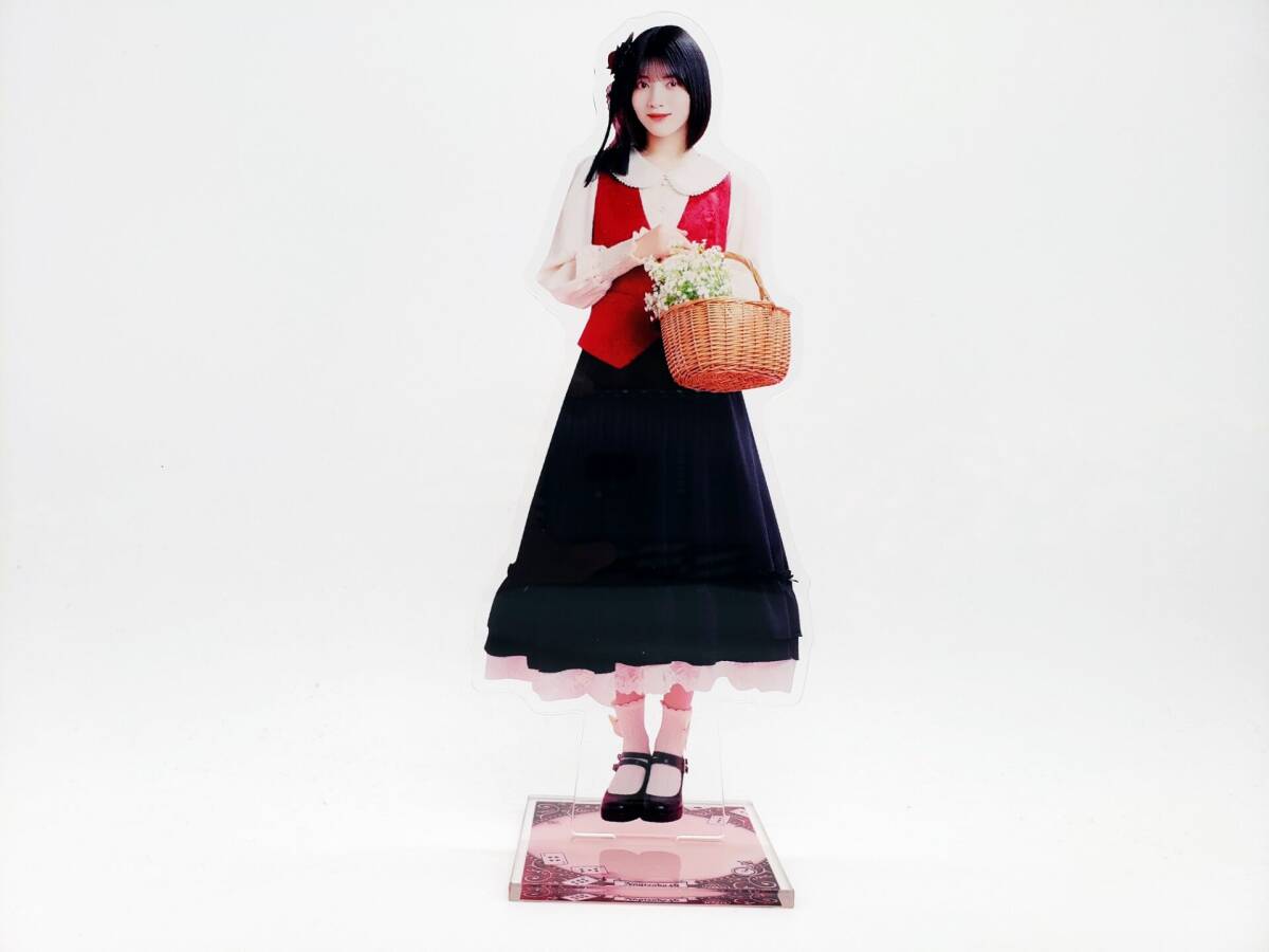 13周年記念 林瑠奈 林瑠奈 13th BIGアクリルスタンド 13-83(乃木坂46)|売買された