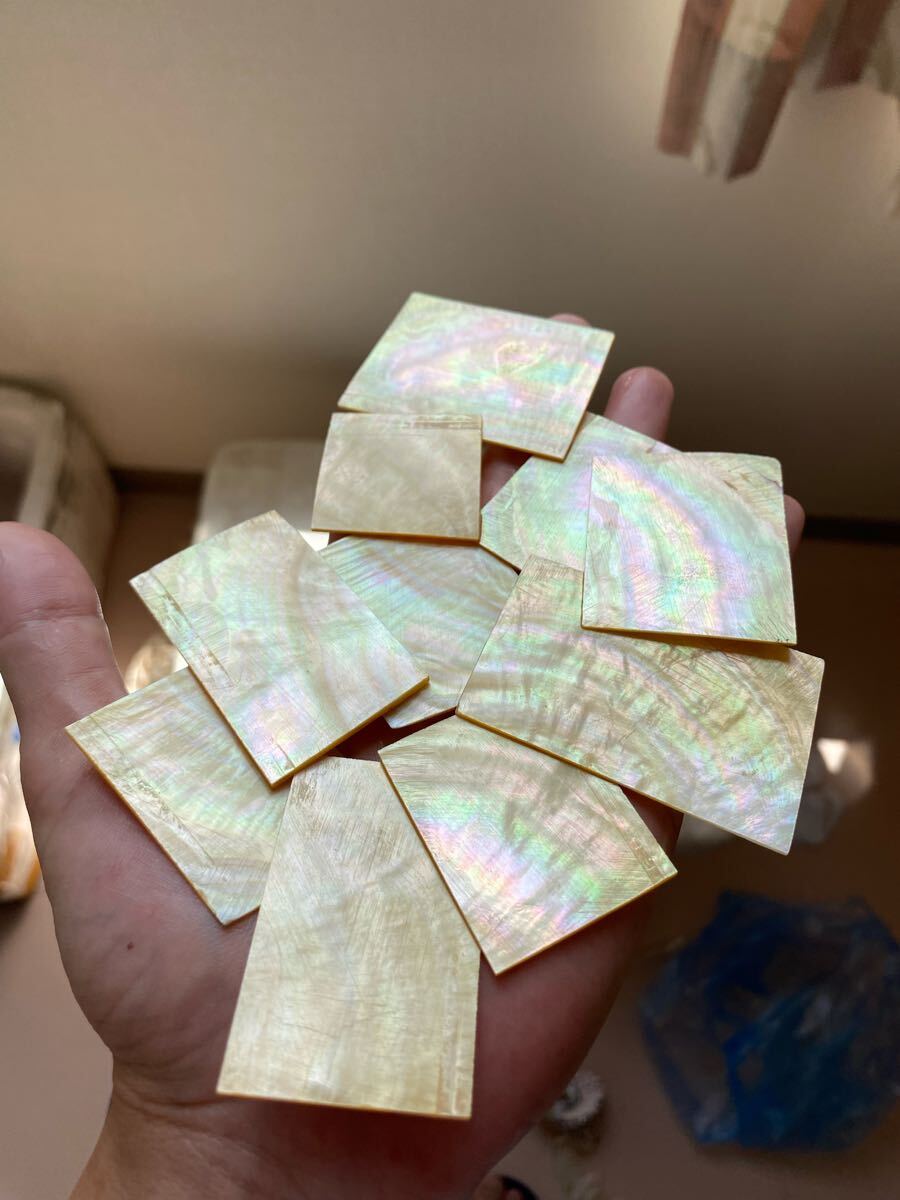 白蝶貝 スライス 10枚セット 厚み1,2mm前後 螺鈿細工 ハンドメイド 素材_画像2