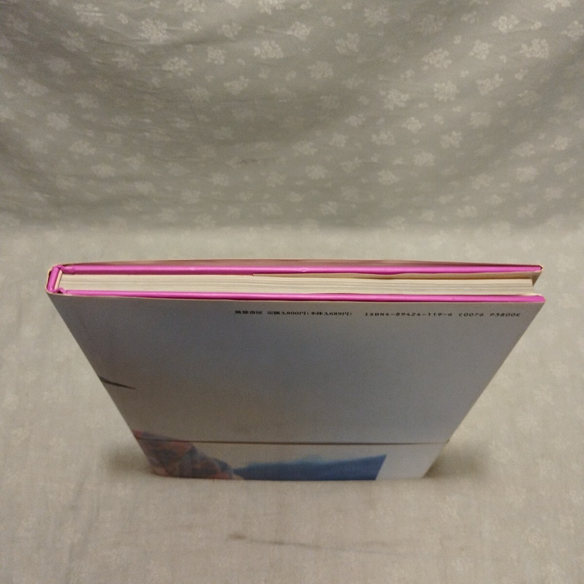 藤田朋子 寫真集 遠(yuǎn)野小説 帯付 荒木経惟 アラーキー 風(fēng)雅書房