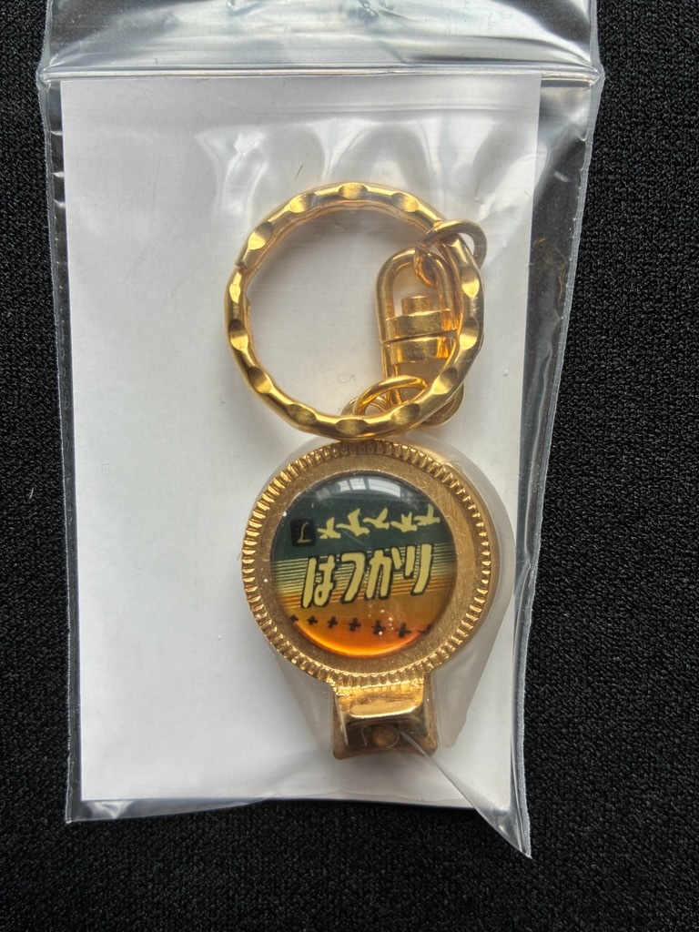特急はつかり號キーホルダーおまけ付き