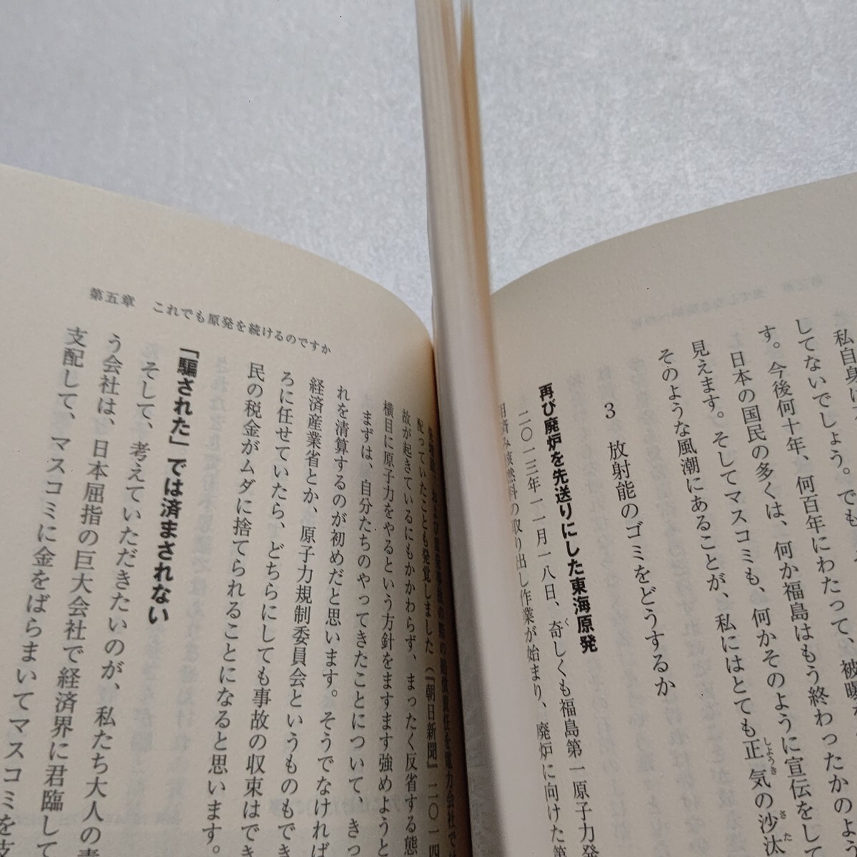 ・原発ゼロ 小出裕章 深刻な実態を客観的に立証。40年以上反原発を貫く著者が事故風化に警鐘を鳴らす なおも原発を推し進める巨大権力とは_画像10