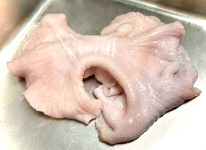 【^_^/即決なら10kg】業(yè)務(wù)用　黒毛和牛上ミノ（皮なし）1kg真空パックです！　□厚切りホルモン　霜降り和牛上ミノ■5kgからの販売です！