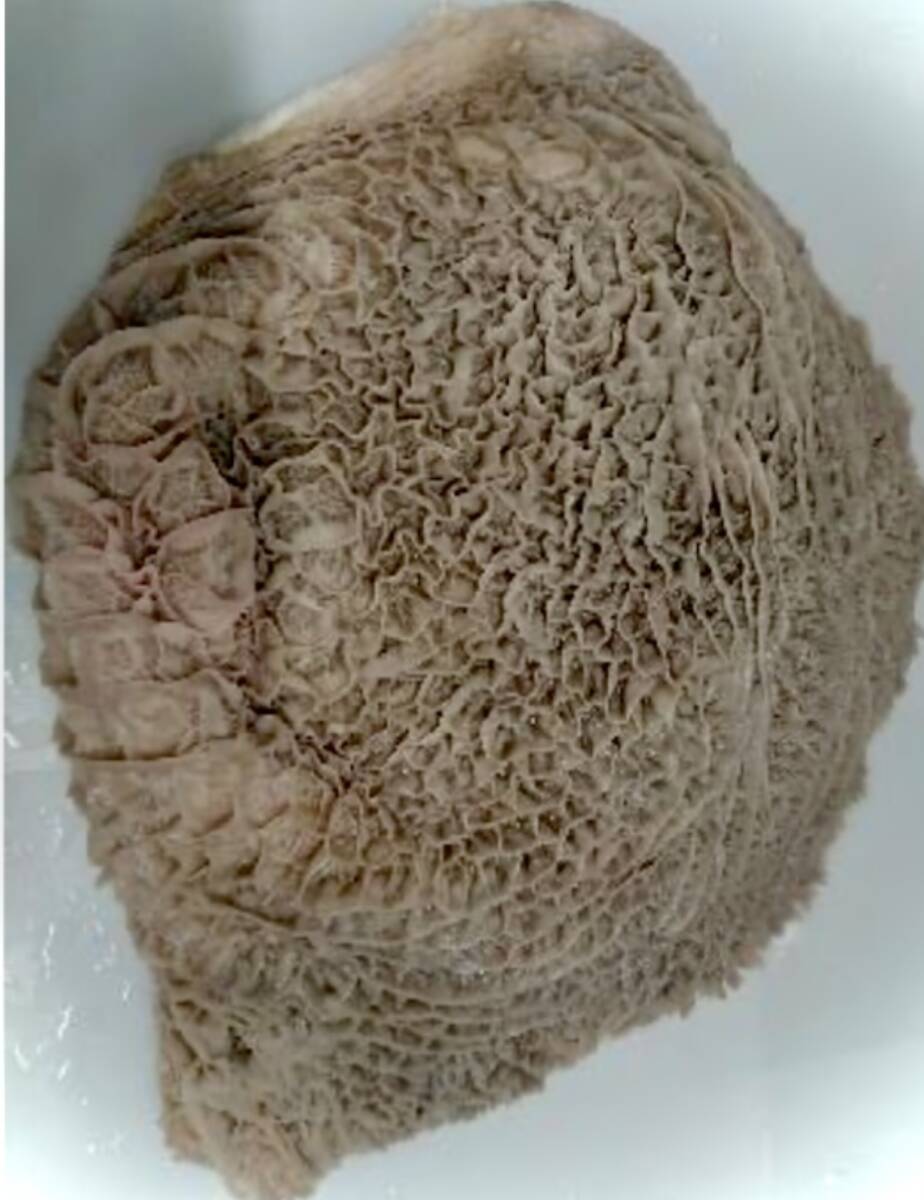 ^_^/お試し小分け1kgの販売です！【即決は2kg】和牛　國(guó)産?！ˉ膝隶违埂?kgからの販売です。