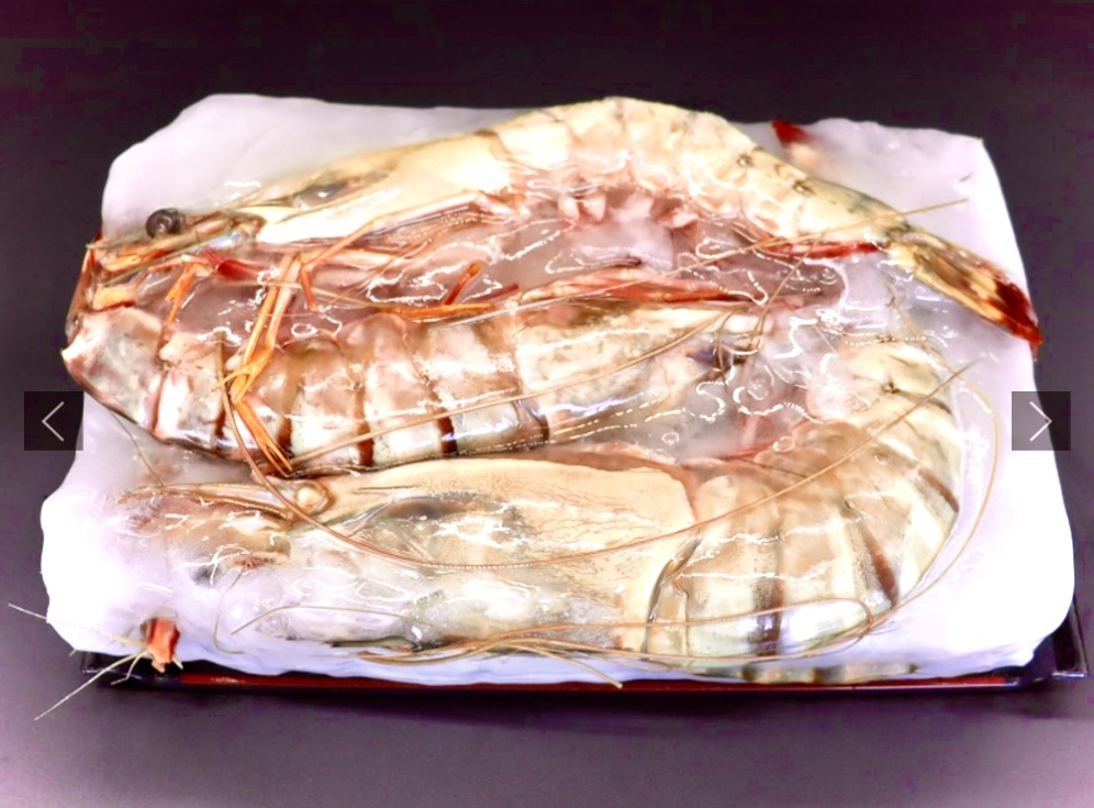 【天然】超超特大！約３０センチ！有頭えびシータイガー　6尾 サイズ！　超巨大海老天ぷら！　超巨大エビフライ！！