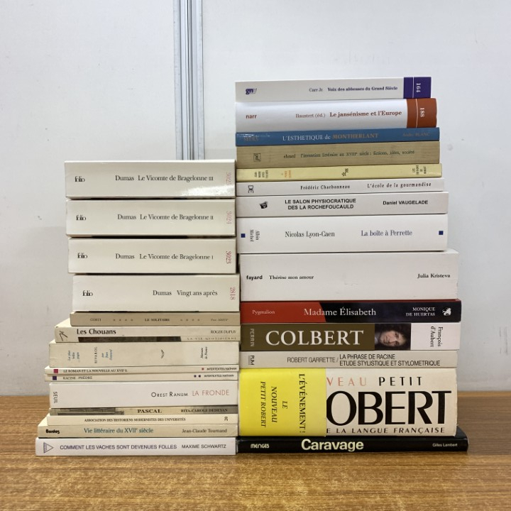 ■01)【同梱不可】フランス革命・文学・歴史などフランス語洋書 まとめ売り約25冊セット/本/世界史/文芸/小説/政治/コルベール/デュマ/B □01)【同梱不可】フランス革命・文学・歴史などフランス語洋書