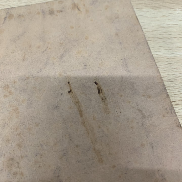 △01)【同梱不可】【非売品】年中法要行事/大谷派本願寺寺務所/大正