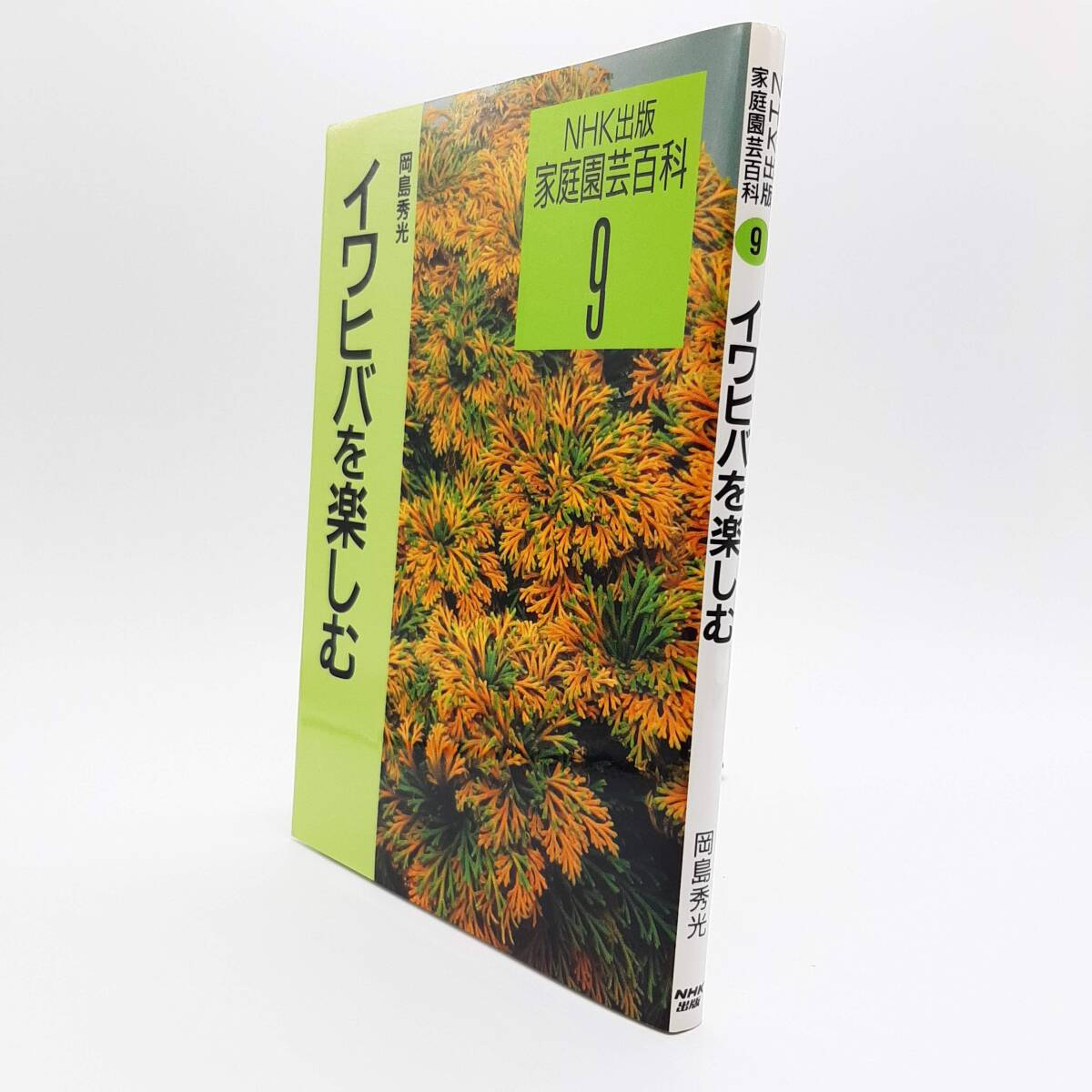 イワヒバを楽しむ 257品種選 ＜NHK出版家庭園蕓百科 9＞ 岡島秀光著　日本放送出版協(xié)會(huì)