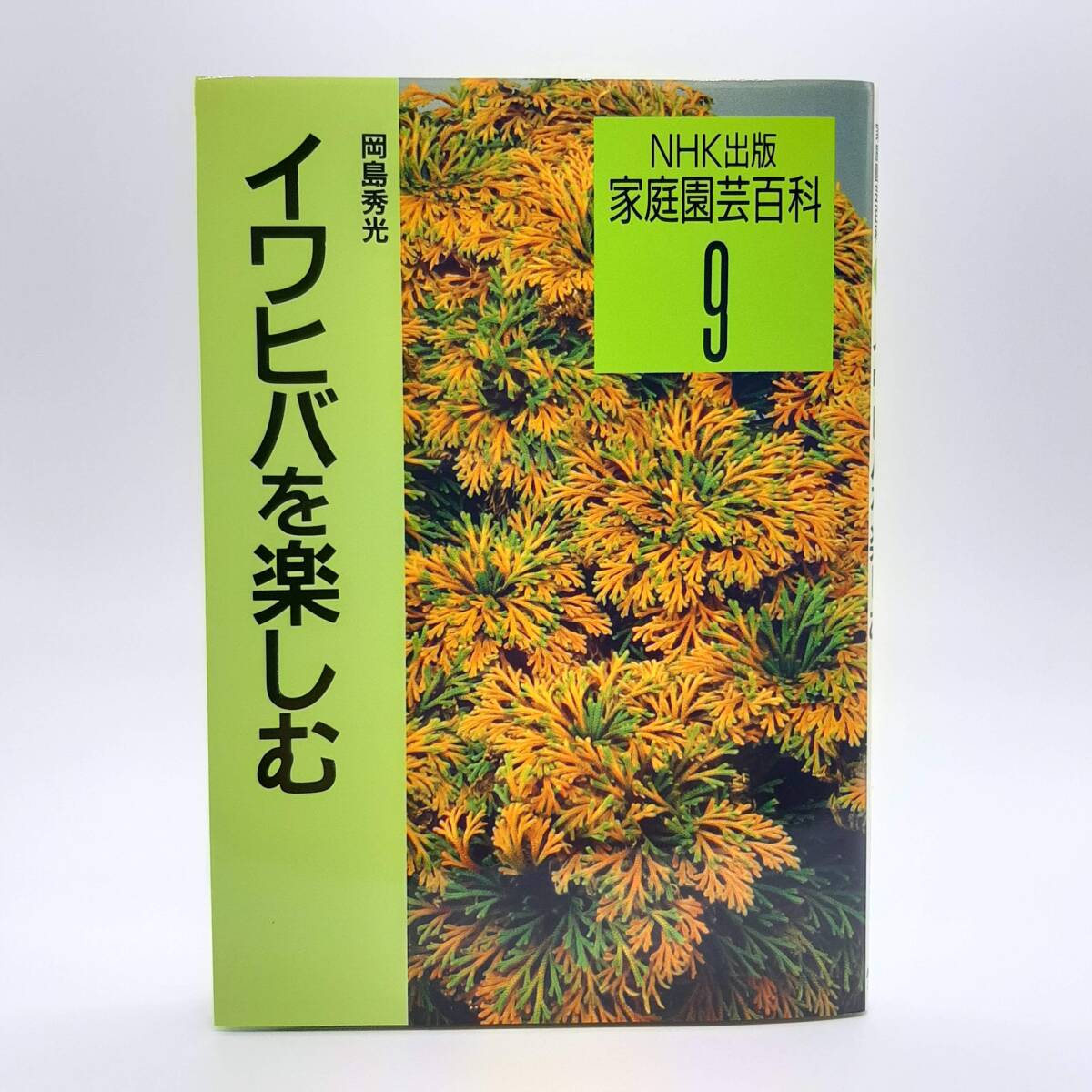 イワヒバを楽しむ 257品種選 ＜NHK出版家庭園蕓百科 9＞ 岡島秀光著　日本放送出版協(xié)會(huì)
