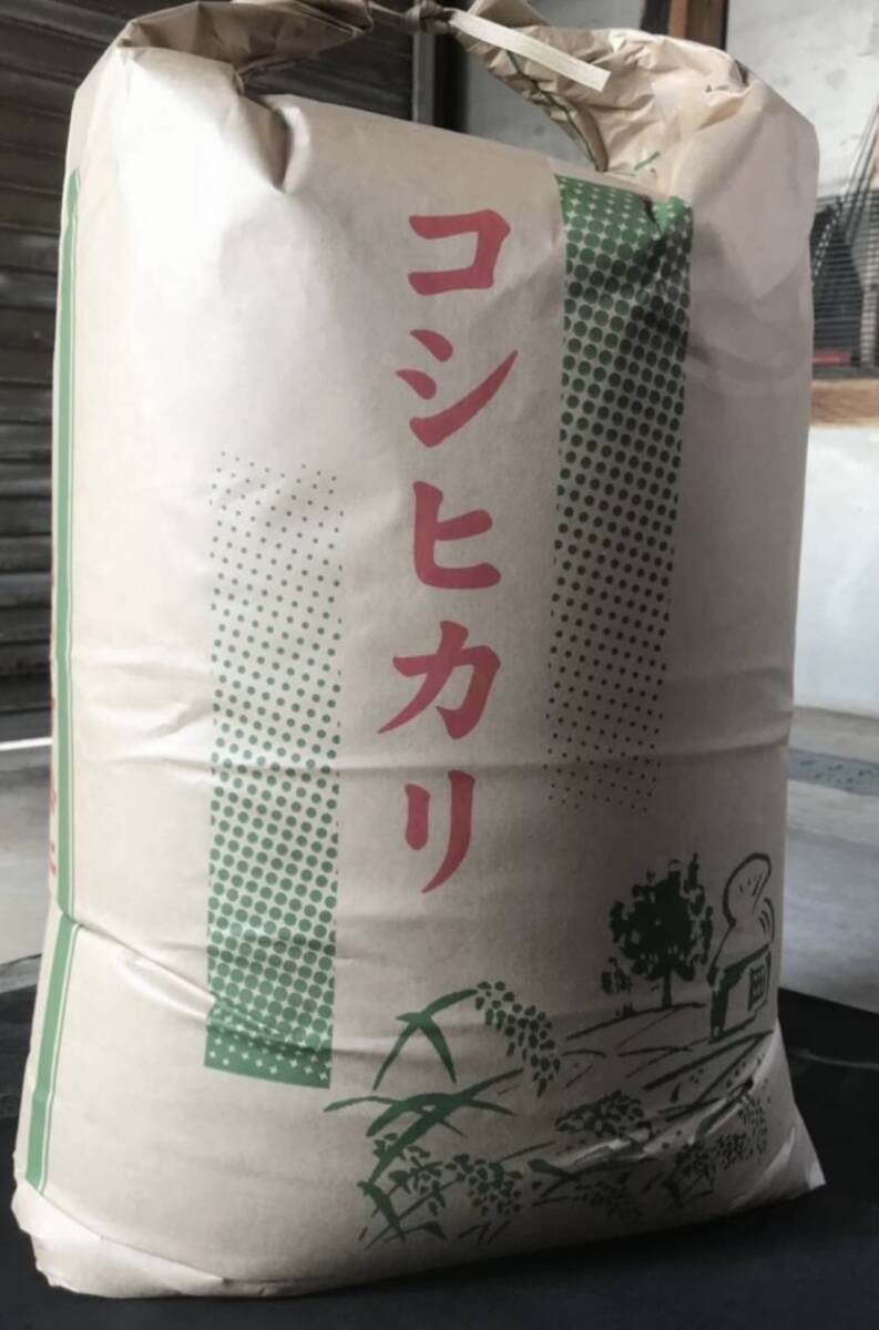 美味しい〜新潟産コシヒカリ ☆ 令和6年 玄米 24Kg(コシヒカリ 美味しい〜新潟産コシヒカリ ☆ 令和6年 玄米 24Kg(コシヒカリ