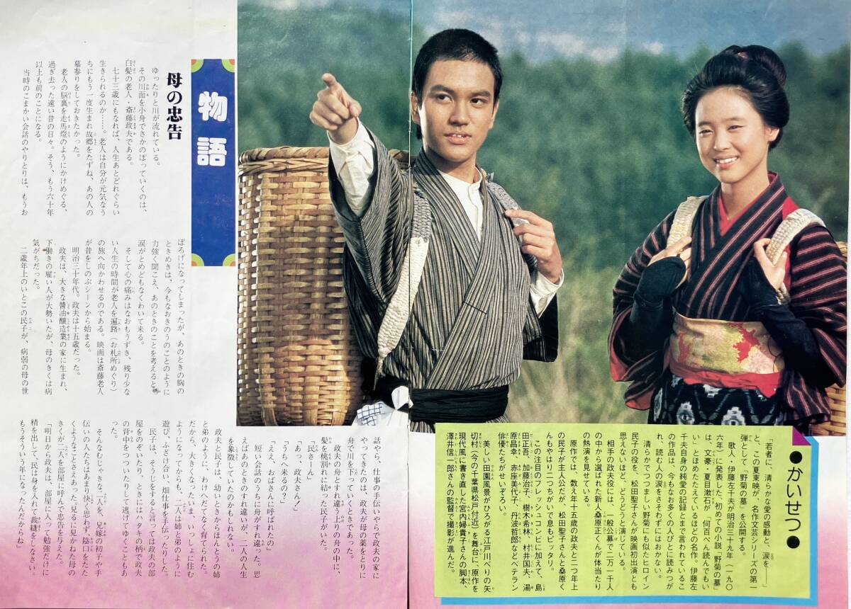 【希少】松田圣子 初主演映畫 野菊の墓 特集パンフ 中一時代 1981年 8月臨時増刊號 第2付録 旺文社 昭和56年 アイドル 雑志付録 昭和レトロ