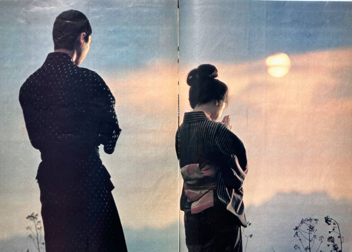 【希少】松田圣子 初主演映畫 野菊の墓 特集パンフ 中一時代 1981年 8月臨時増刊號 第2付録 旺文社 昭和56年 アイドル 雑志付録 昭和レトロ