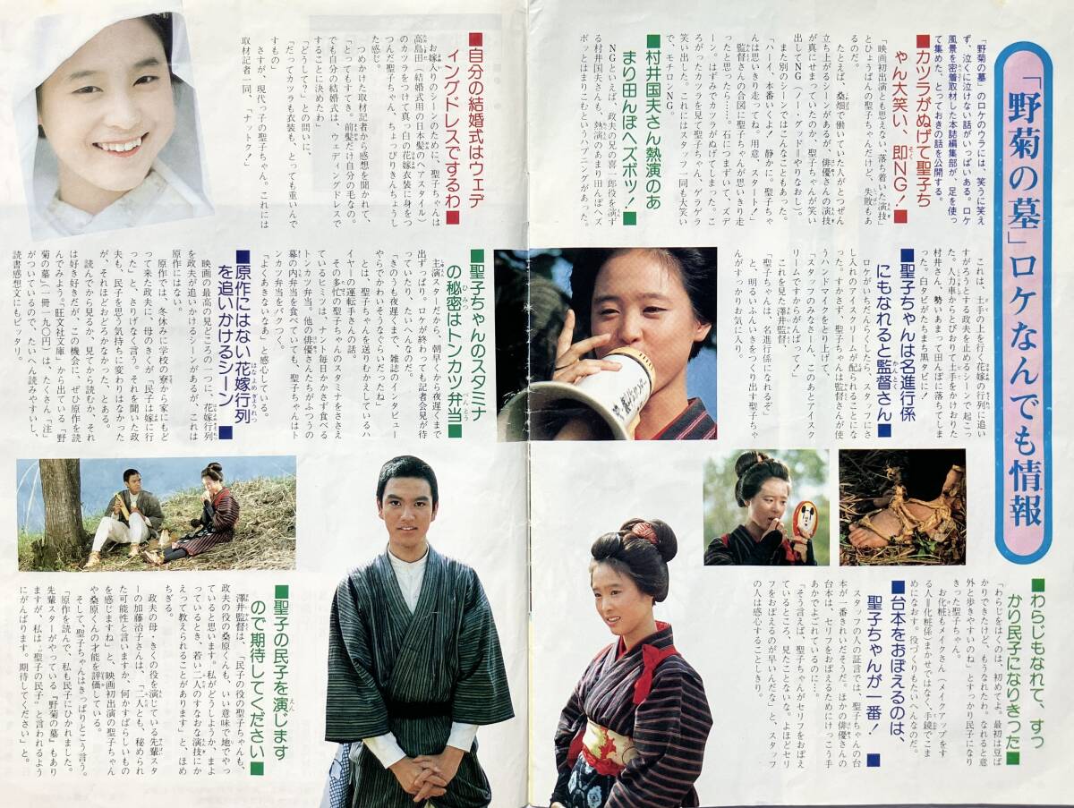【希少】松田圣子 初主演映畫 野菊の墓 特集パンフ 中一時代 1981年 8月臨時増刊號 第2付録 旺文社 昭和56年 アイドル 雑志付録 昭和レトロ