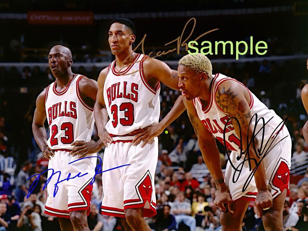 シカゴ・ブルズ 写真集 NBA シカゴ・ブルズ 1998 最強メンバー 高画質 サイン フォト