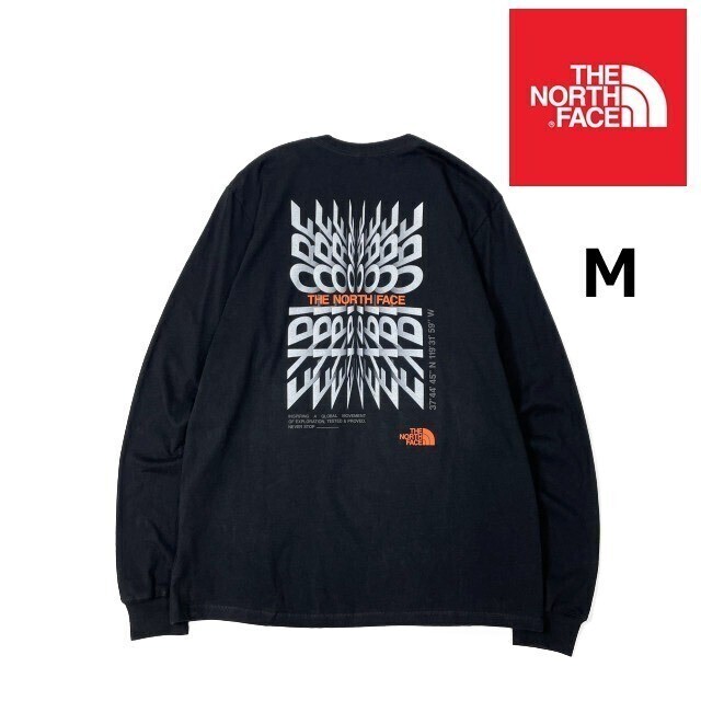 1円～!売切!【正規(guī)新品】THE NORTH FACE◆ L/S BRAND PROUD TEE 長(zhǎng)袖 Tシャツ ロンT US限定 ボックスロゴ グラフィック(M)黒 180902-23