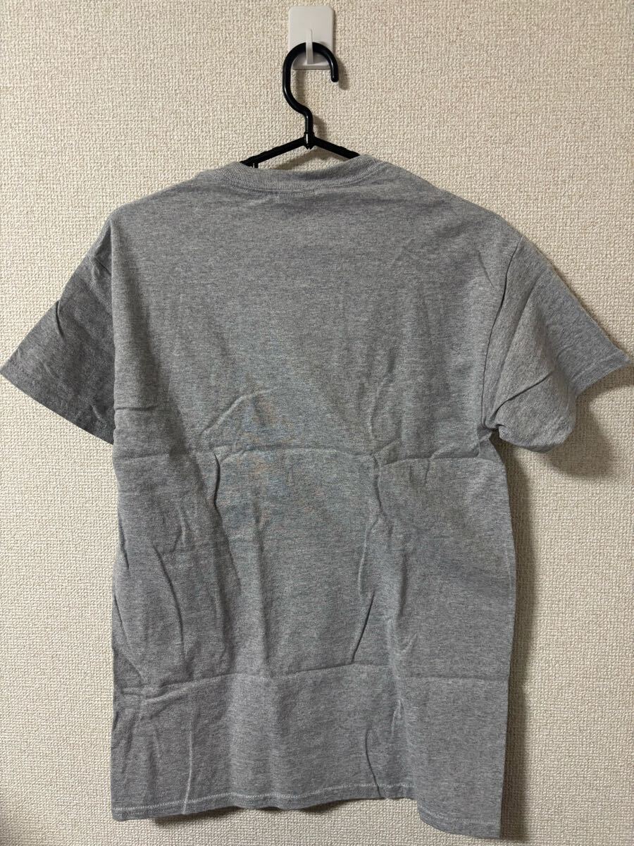 古着　Tシャツ　検)アメカジ　ビンテージ　 マラソン　GILDAN_画像2