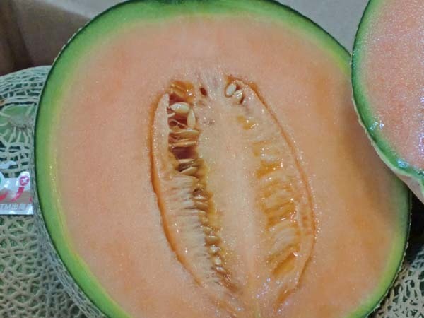 【Good】緊急入荷！大量20箱！人気の赤肉メロン 茨城産『レッドメロン』大玉3～5玉