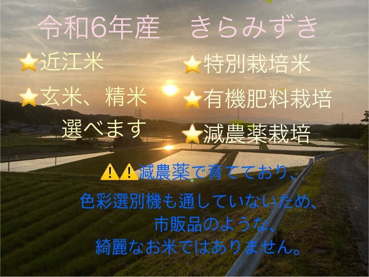 Yahoo!オークション - 新品種 特別栽培 有機肥料栽培 きらみずき Yahoo!オークション - 新品種 特別栽培 有機肥料栽培 きらみずき