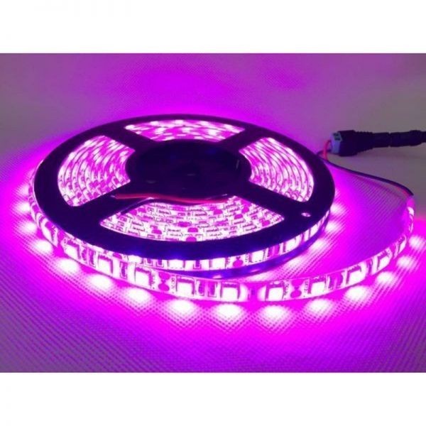 LEDテープ 防水 12V 5M 5050 白ベース LEDテープライト ピンク 紫 正面発光 カット可 DD27