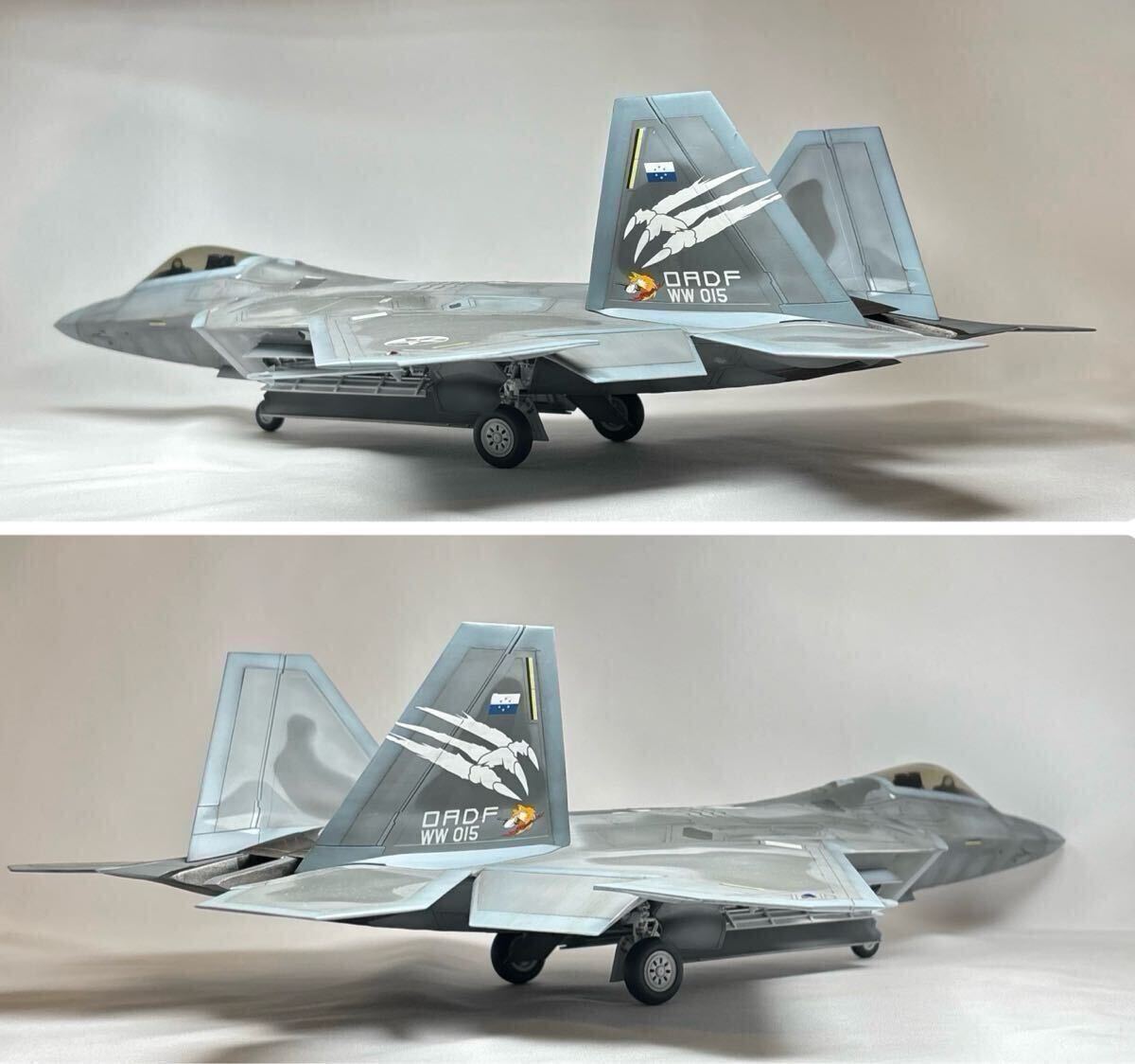 * конечный продукт * Hasegawa 1/48 F-22lapta-` -тактный rider 1`