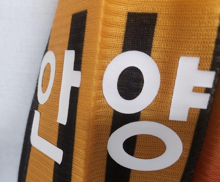 00 安養(yǎng)LGチータス(GK)#1 JOUNG Kilyong 選手用長(zhǎng)袖 adidas Kリーグ仕様 110 XXL