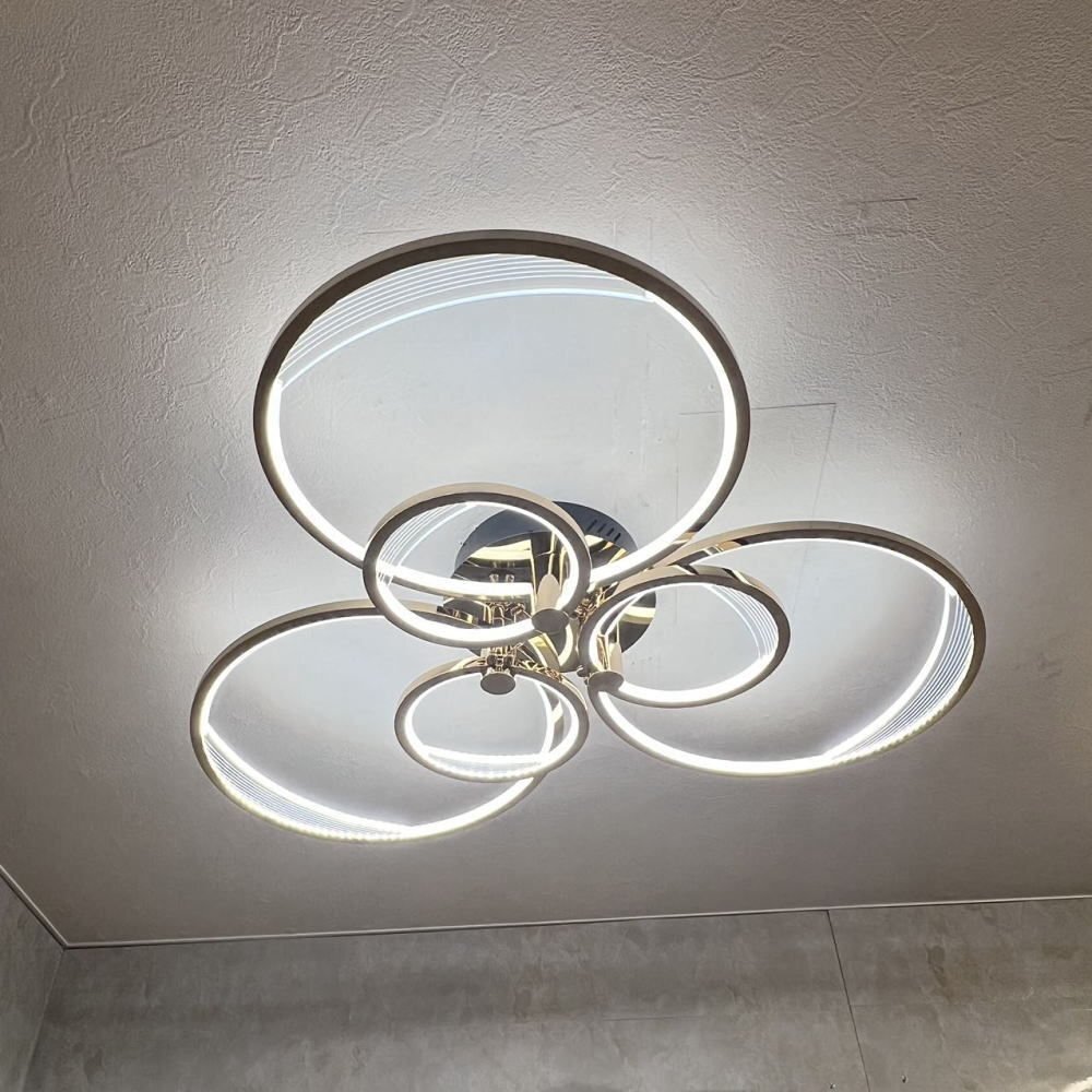 [LED имеется ] новый товар красивый дизайн LED встроенный с дистанционным пультом LED свет style свет & тонировка модель LED современный простой бесплатная доставка led дешевый Северная Европа 6~8 татами 