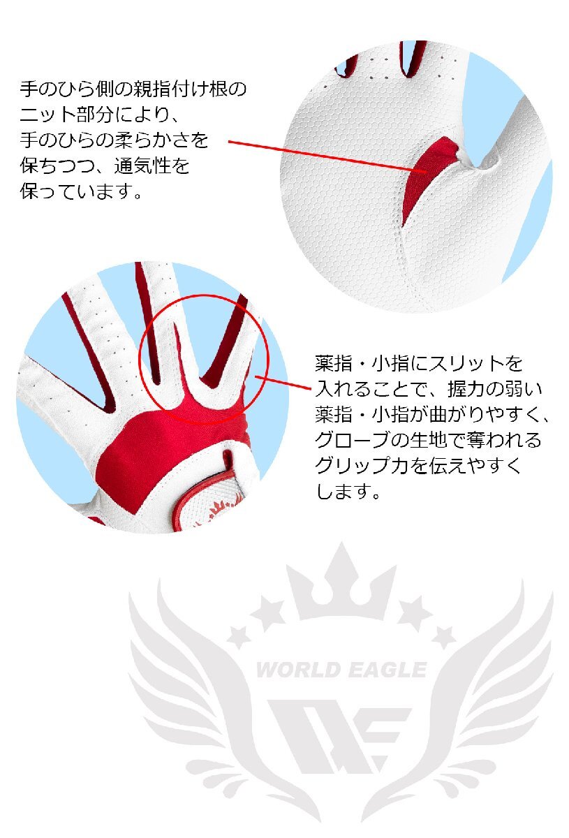ワールドイーグル ゲノンエボグローブ 右手用L（23～24cm）:ホワイト/ブラック[60520]