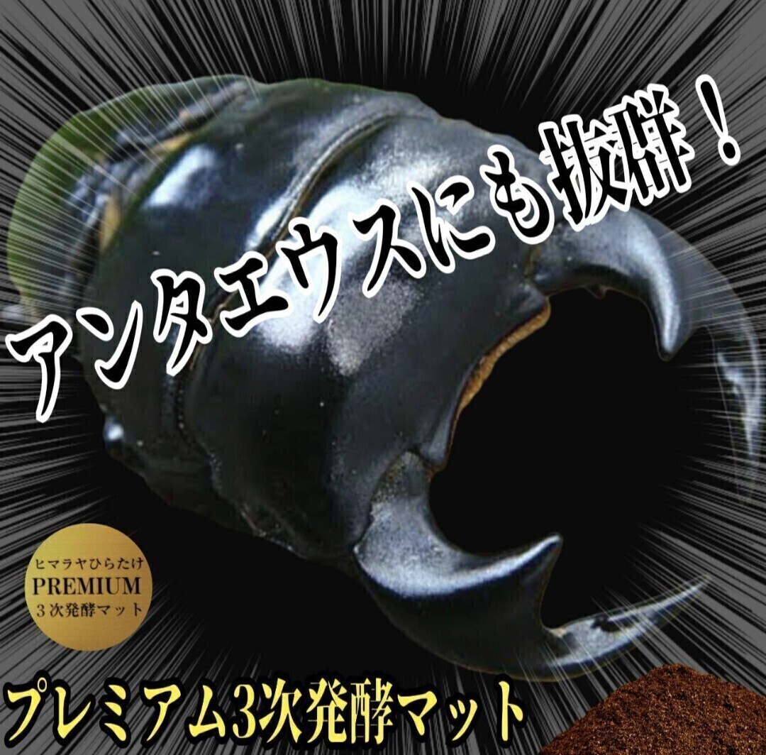クワガタの幼蟲を入れるだけ！割り出し直后の小分けに【40個】プリンカップ入りプレミアム3次発酵マット　初令が吸収しやすい栄養(yǎng)添加剤！