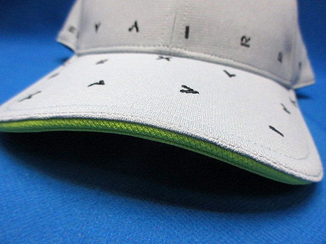 新品 AVIREX/アヴィレックス キャップ 20SS-A16 グレー フリー