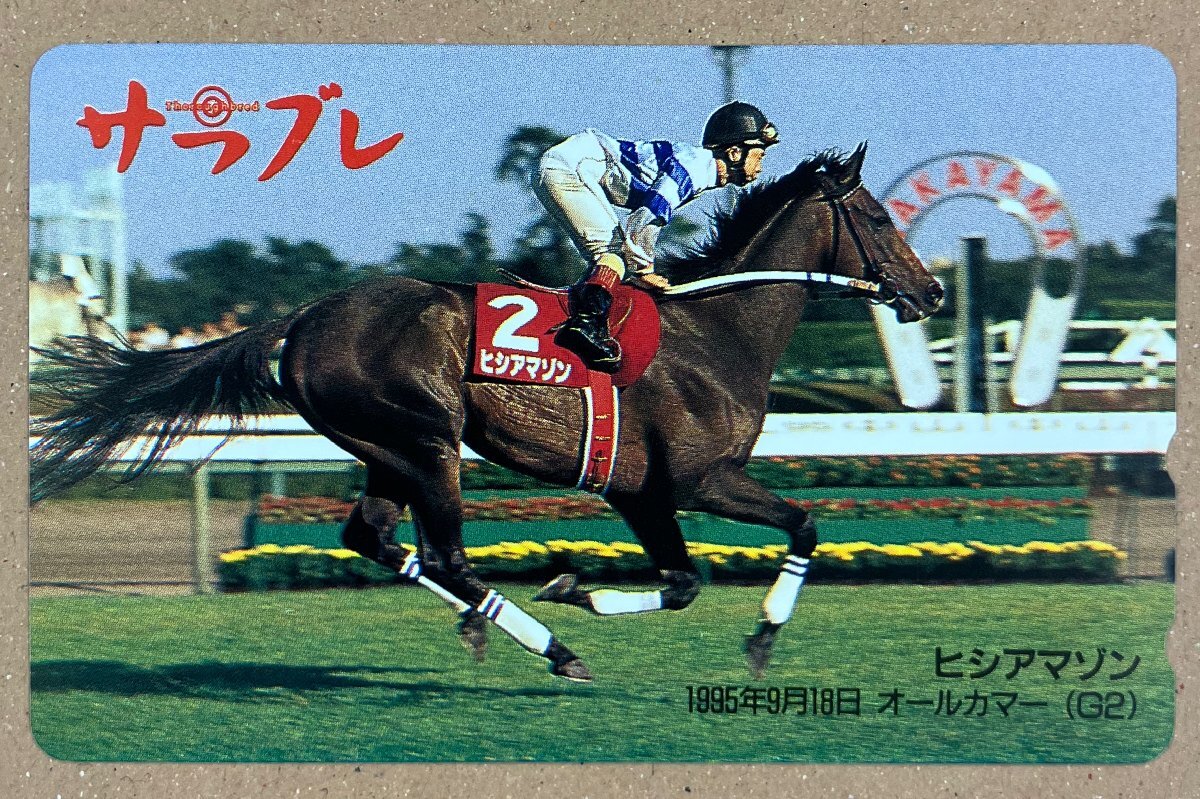 競馬　1995年　オールカマー（G2）　ヒシアマゾン　サラブレ　テレカ　テレホンカード