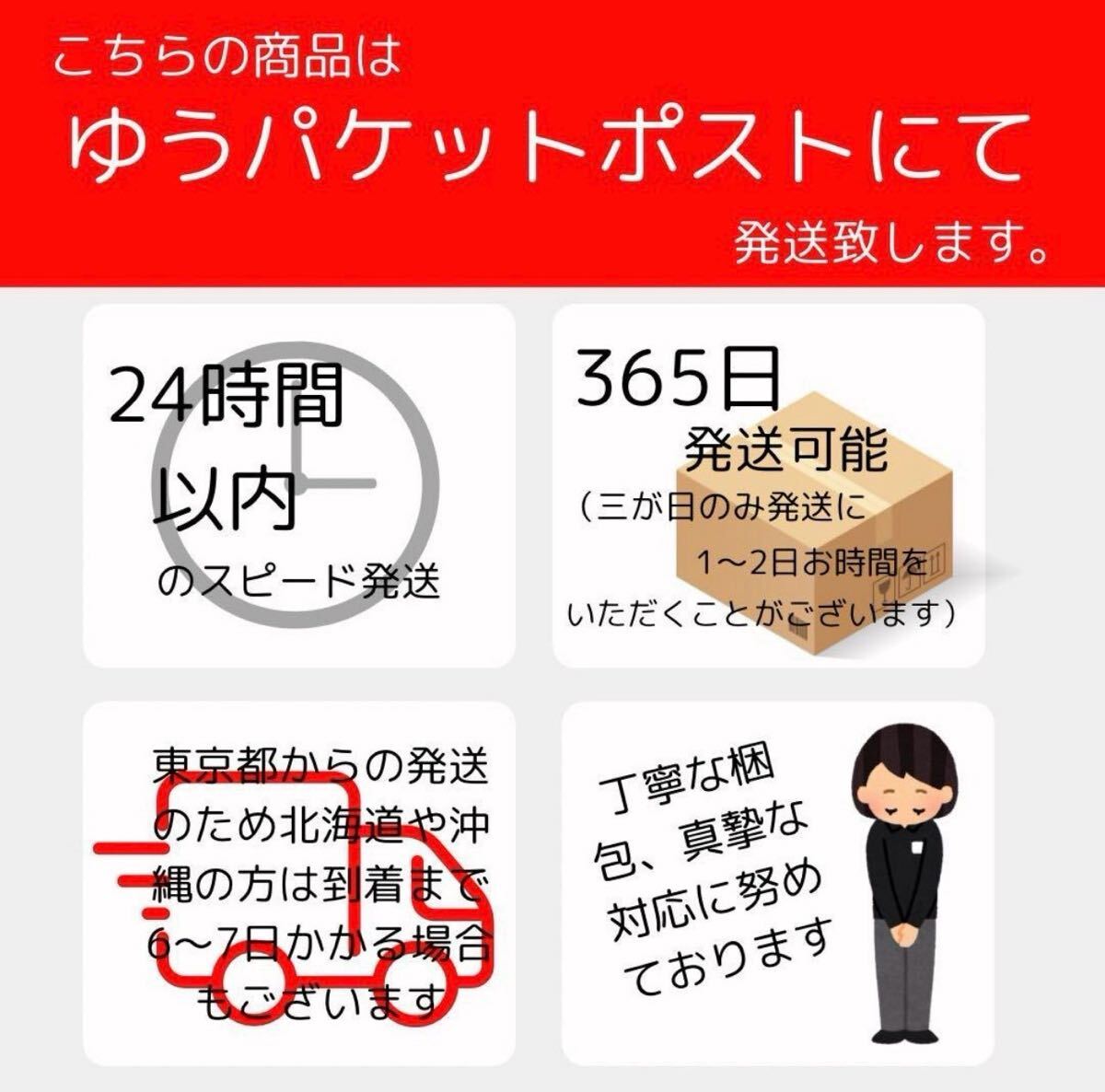 剪定バサミ収納ケース ウエストバッグ ツール 収納バッグ DIY 工具入れ ウエストポーチ 軽量 多機(jī)能 ツール マルチ 工具ホルダー 調(diào)節(jié)可能