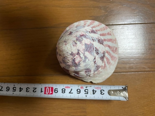 item_image_6