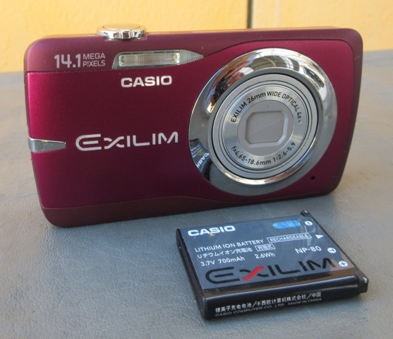 EXILIM ZOOM EX-Z550