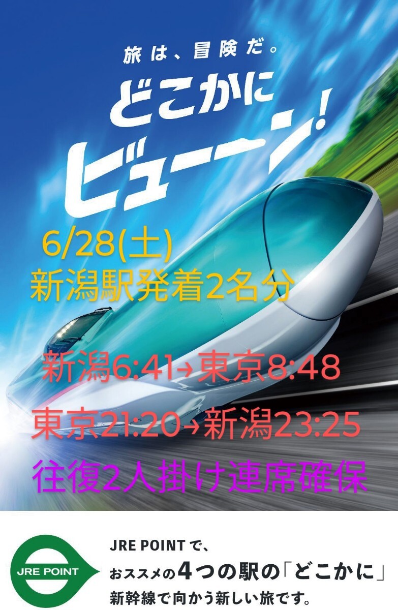 6/28(土)日帰り どこかにビューーン 新潟駅発著　行き先東京駅 往路新潟駅6:41発 復(fù)路東京駅21:20発 要Suica　検索:JR東日本 優(yōu)待割引券