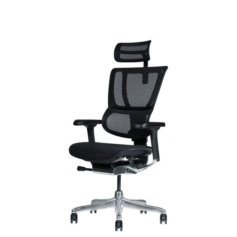新品 Ergohuman Fit2 エルゴヒューマン フィット2 オフィスチェア ランバーサポート 可動(dòng)ヘッドレスト 可動(dòng)肘 メッシュチェア 店頭引取可