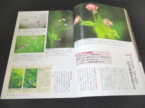 本 No1 01005 百萬人の寫真ライフ 2006年秋號 里の秋を撮る これで納得! 畫面構(gòu)成のツボ 野に咲く秋の花を撮る 寫真の撮り方、考え方