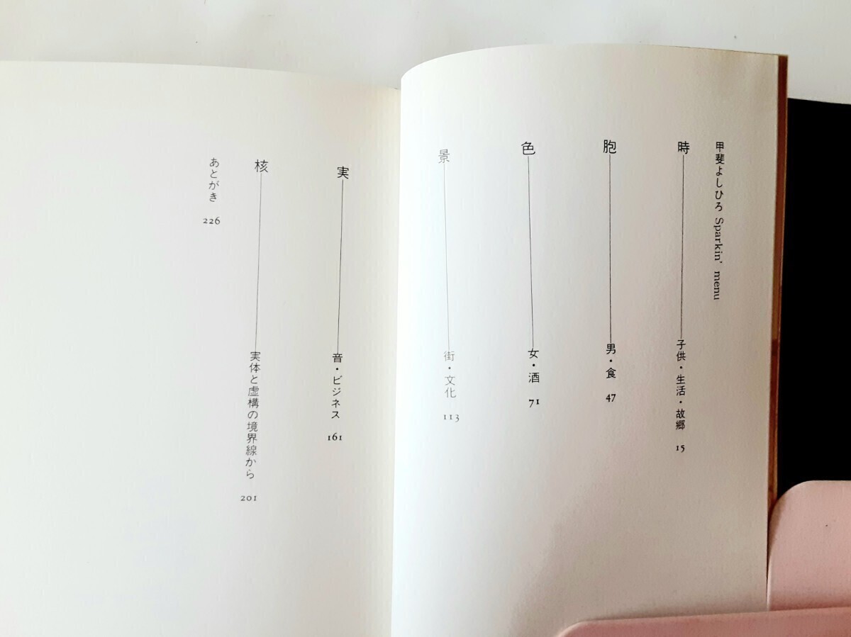 【送料込】甲斐よしひろ　エッセイ『稲妻日記PART2』 白夜書房　昭和63年初版