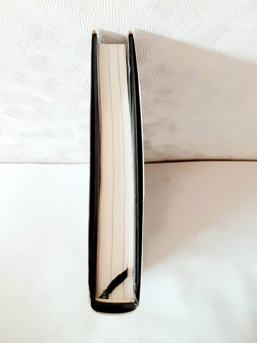 【送料込】甲斐よしひろ　エッセイ『稲妻日記PART2』 白夜書房　昭和63年初版