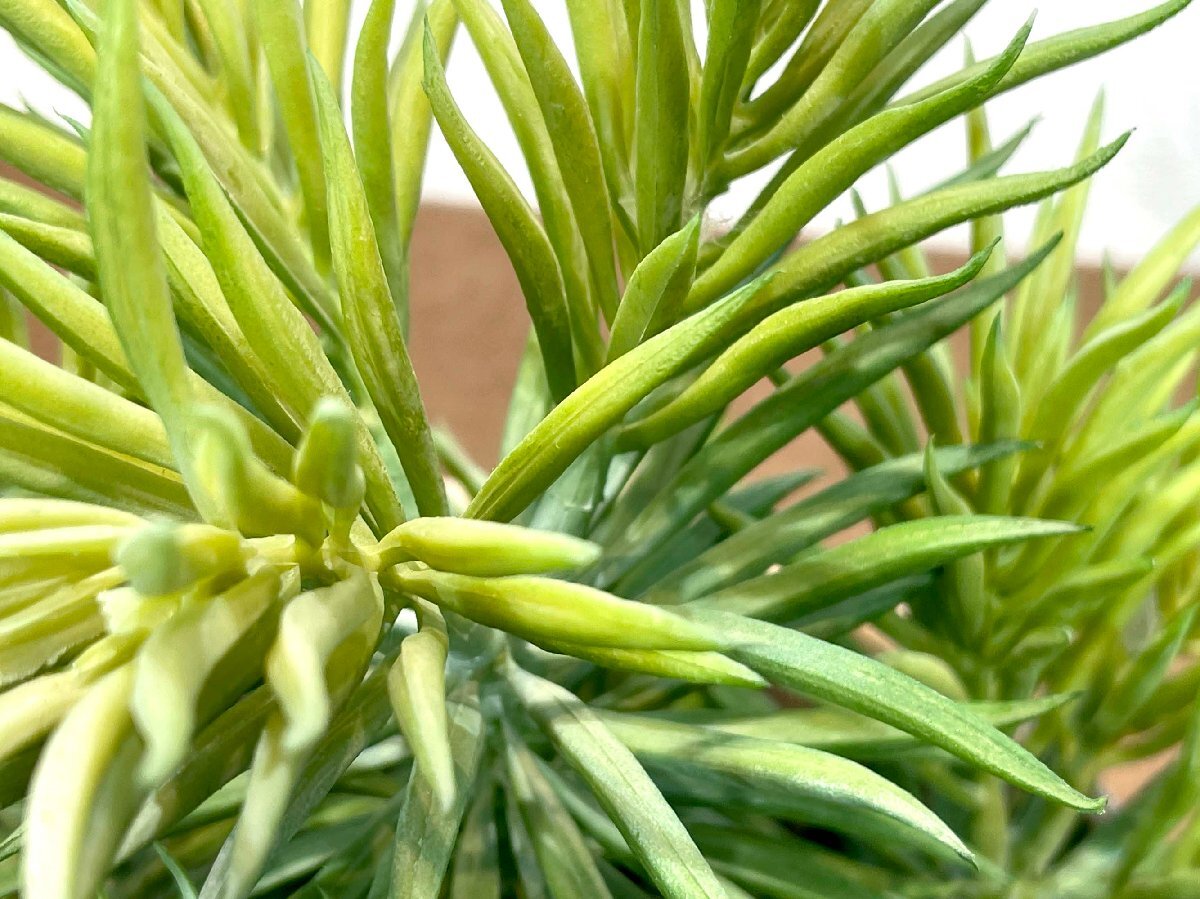 【福岡】 フェイクグリーン & 鉢 2個セット◆インテリア雑貨◆IKEA ◆大:W180 D160◆モデルR展示品◆BR9429_Ts_画像6