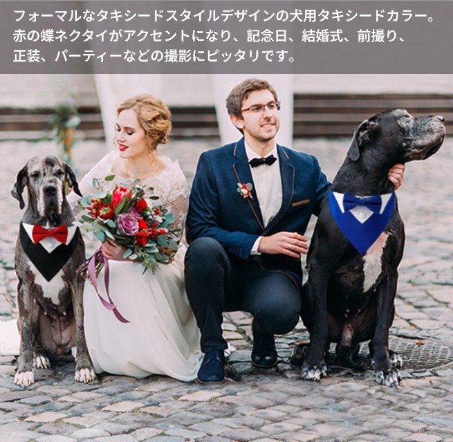 【vaps_5】犬 タキシード バンダナ M 赤い蝶ネクタイ 結(jié)婚式 フォーマル スーツ 胸當(dāng)て ドッグウェア 誕生日 記念日 おしゃれ 送込