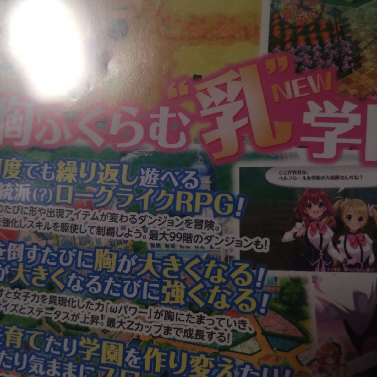 item_image_6