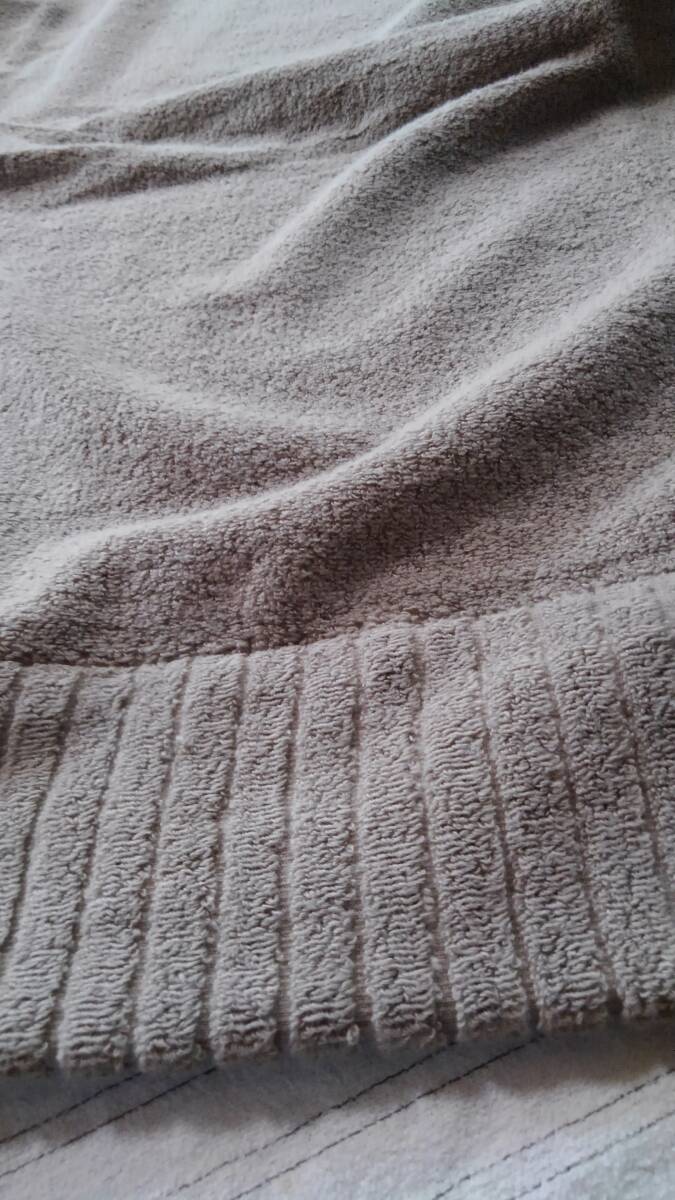 生物細密画（水彩）「コメツキガニ」