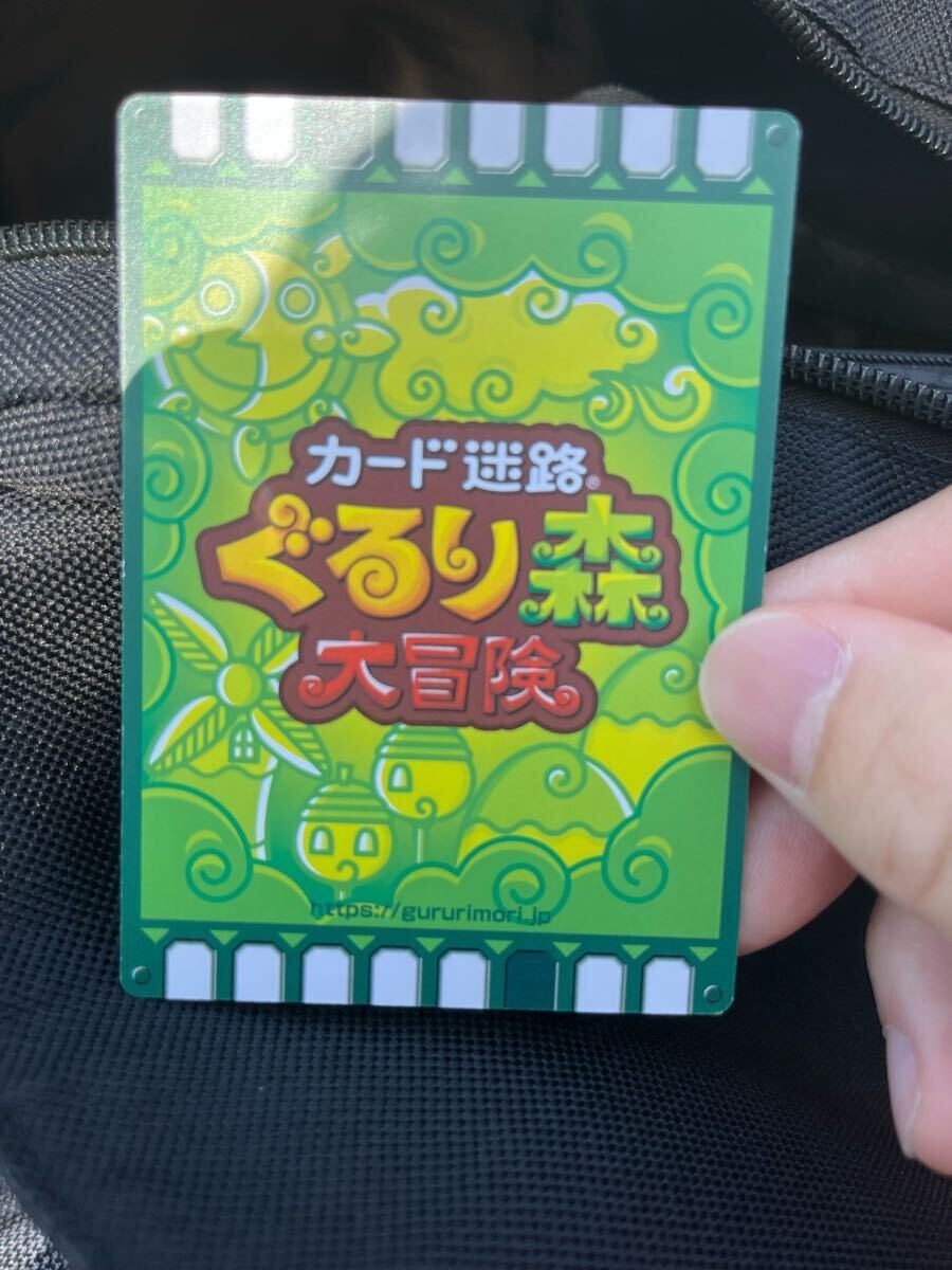ぐるり森　ドリームGロイド　南知多限定　美品
