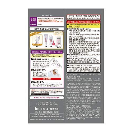 ビューティーン メイクアップカラー ヘアカラー メタリックアッシュ 1個 (x 1)_画像7