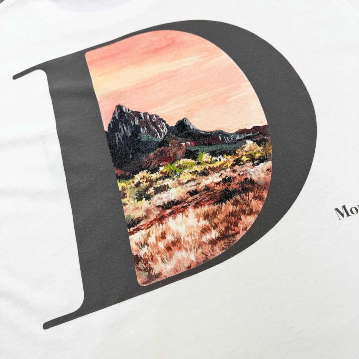 185『極美品?名作コラボ』 DIOR ディオール × ジャック?ケルアック 半袖 Tシャツ トップス ビッグロゴ 刺繍 XXXLサイズ ホワイト