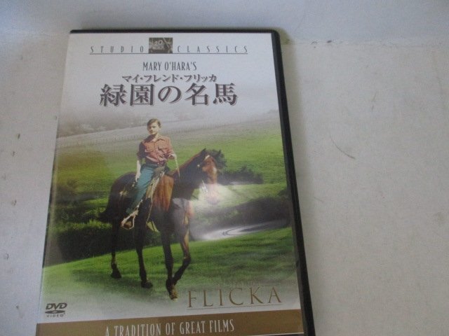 　DVD?緑園の名馬?ロデイ?マクドウオール他?カラー