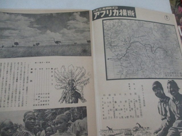  маленький размер брошюра 17* Africa ширина .