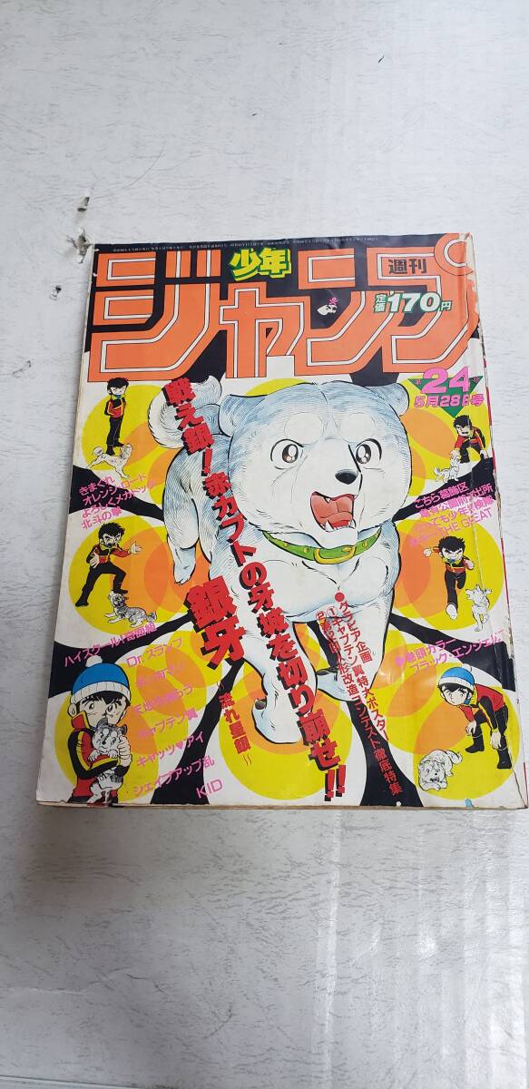 ★1984年 週刊　少年ジャンプ　第24號(hào)★